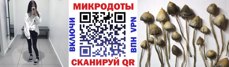 Псилоцибиновые грибы Magic Shrooms  купить наркоту  Лесозаводск 