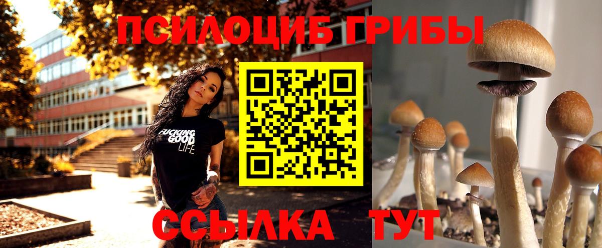 Псилоцибиновые грибы мухоморы  Галлюциногенные грибы Psilocybine cubensis  Лесозаводск 